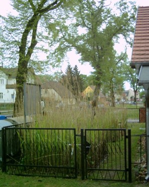 pflanzenklaeranlage